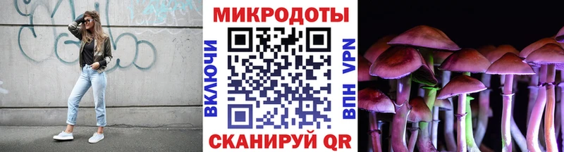 Псилоцибиновые грибы прущие грибы  Купить закладки  Королёв 